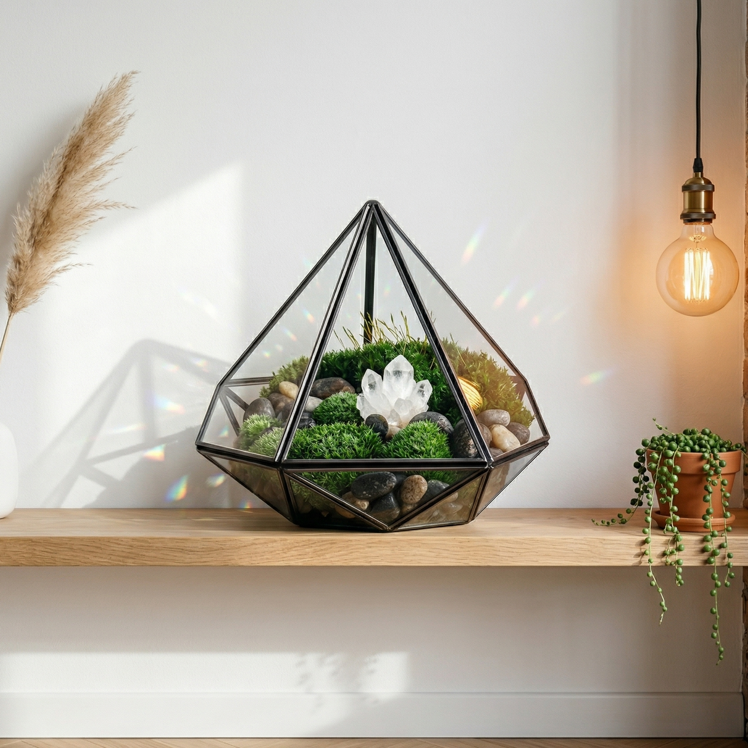 Terrarium géométrique diamant noir étagère chêne blanc mur blanc, 
contexte scandinave gauche vase pampas céramique, centre terrarium 
mousse verte succulente verre cristallin, contexte industriel bohème 
brique Edison droite, parquet chêne hérringbone, lumière naturelle 
gauche effets prismatiques géométriques mur, ambiance style universel 
élégance intemporelle, format JPG 1:1