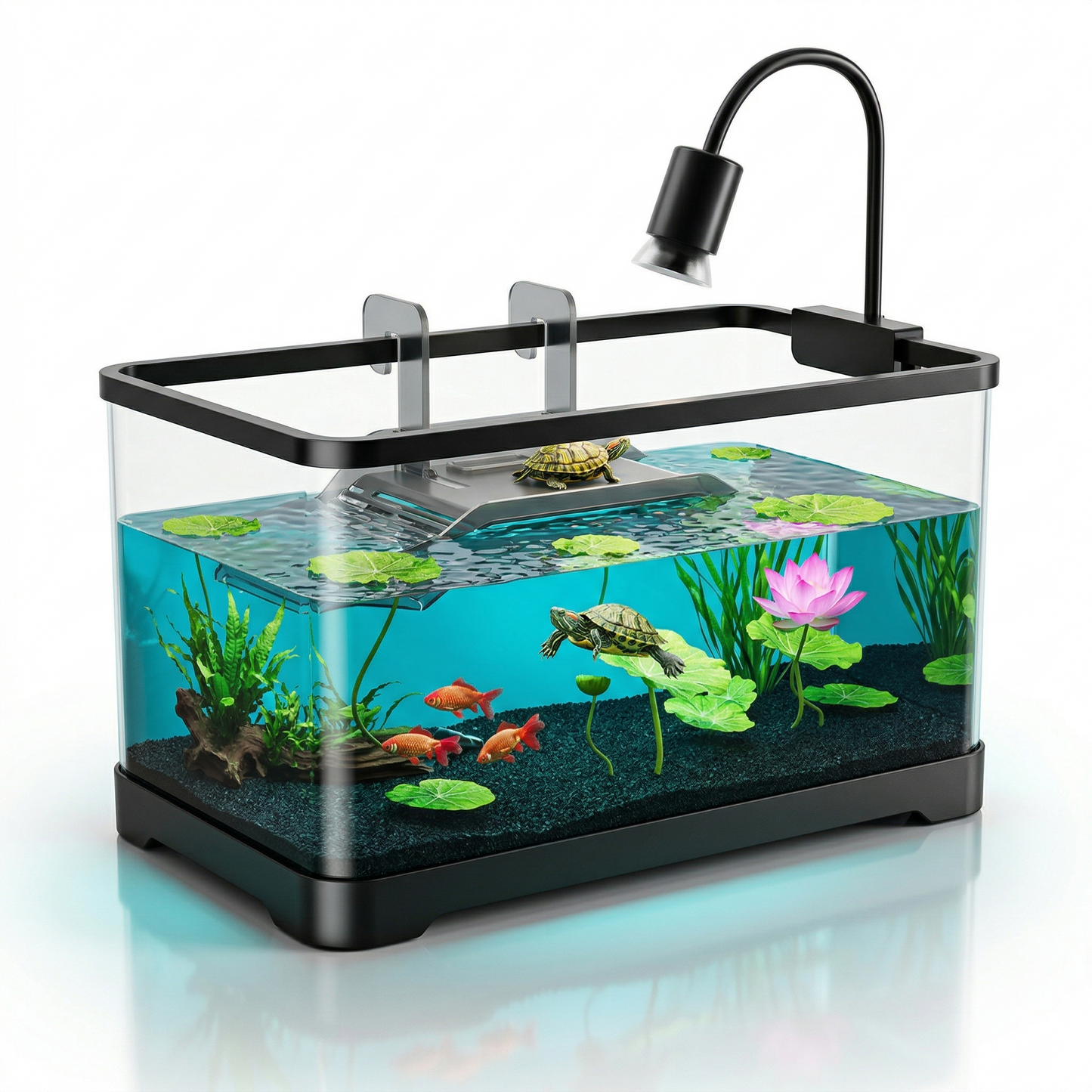 Terrarium aquatique premium noir fond blanc pur surface acrylique reflet 
miroir parfait, cadre noir mat premium engineering précis, verre 
panoramique cristallin invisible qualité, intérieur spectaculaire eau 
turquoise caribéenne gravier volcanique noir, deux tortues basking 
nageant naturellement, lotus rose ouvert lumineux, trois poissons 
cuivre formation élégante, spot ambre précis turtle, rim light razor 
thin bord noir, contraste black exterior living colorful interior, 
format JPG 1:1