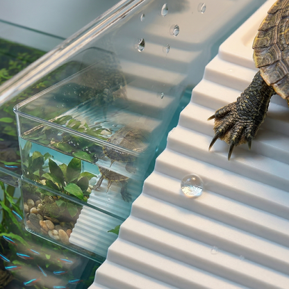 Macro vivarium tortue deux éléments, gauche paroi plastique cristallin 
ultra-transparent tortue visible travers qualité premium, droite rampe 
nervurée blanche razor sharp griffe tortue agrippant ridge gouttelette 
diamant, éclairage macro focused textures détails, format PNG 1:1