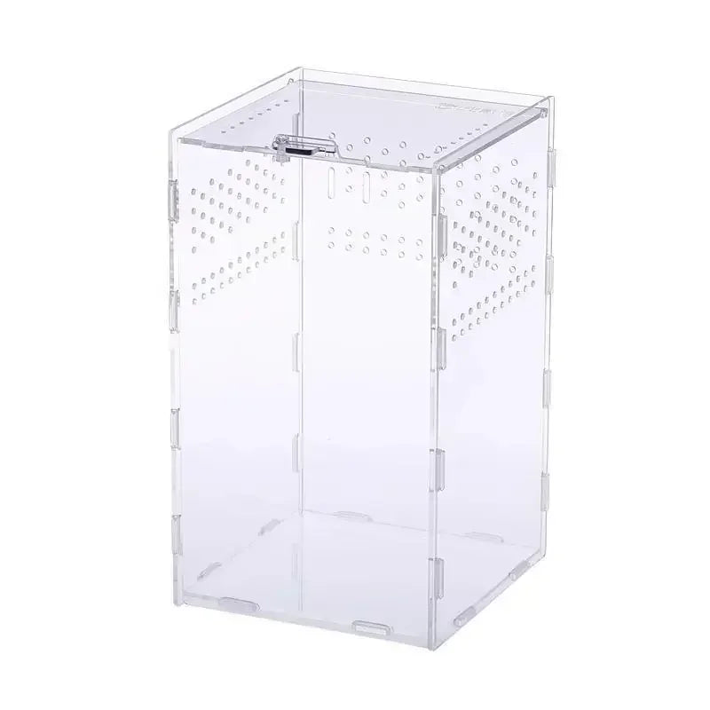 boite elevage fond blanc 