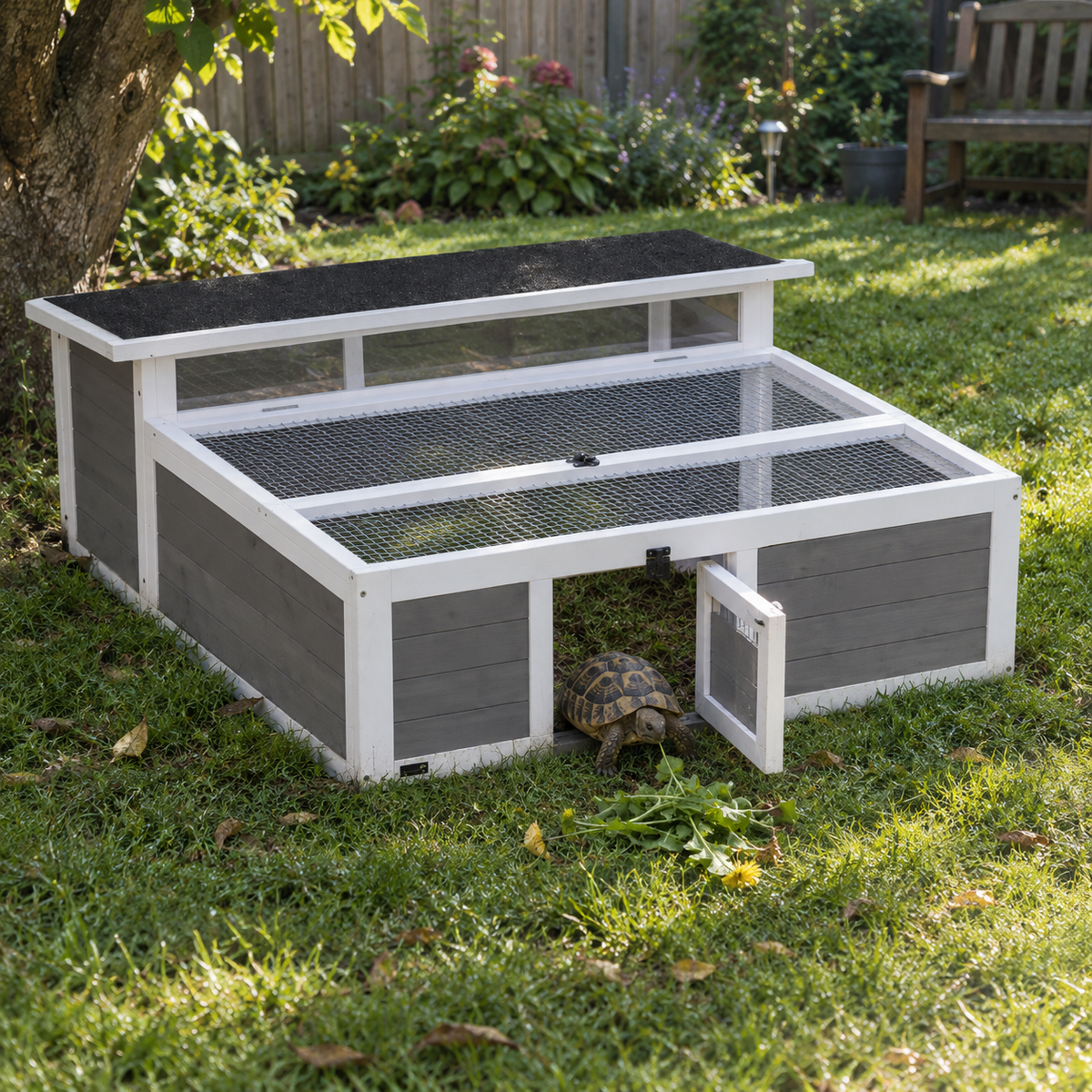  Enclos pour tortue posé sur la pelouse d'un jardin, une tortue d'Hermann sort par la porte avant