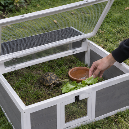 Toit grillagé ouvert de l'enclos pour tortue, une main dépose une feuille de salade près d'un bol d'eau